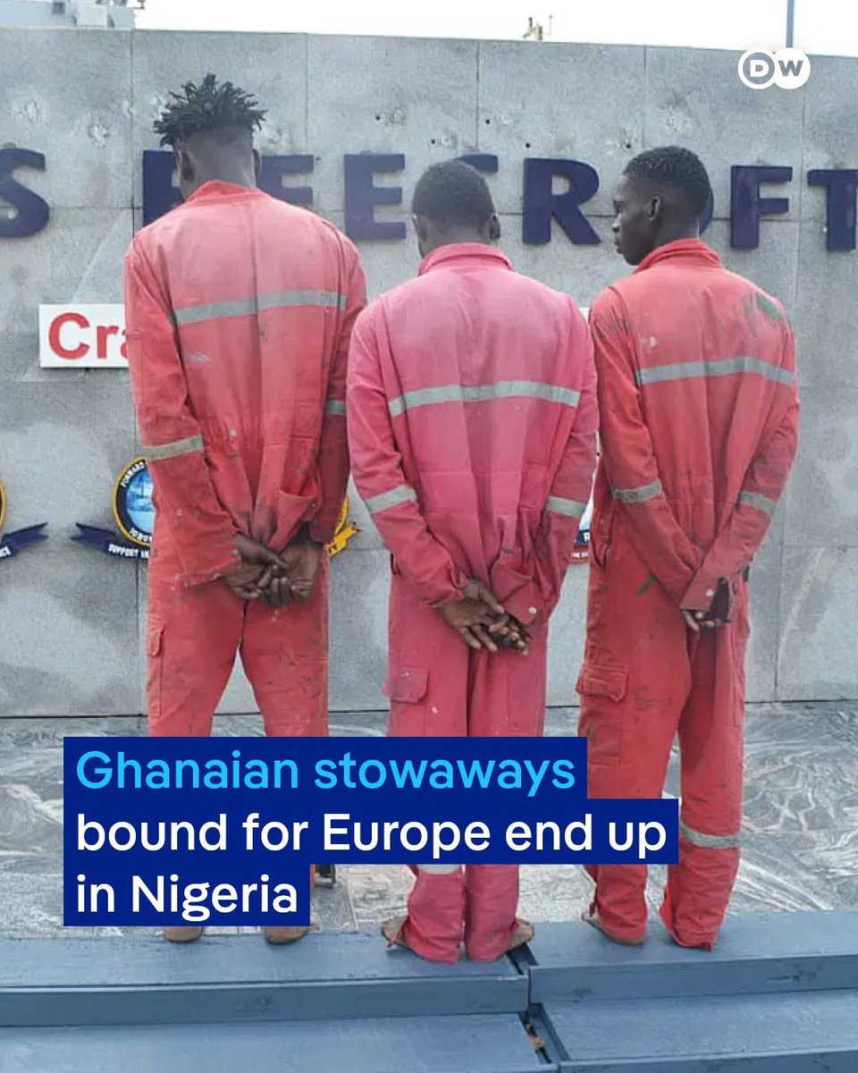 Torgbuigà tweet media