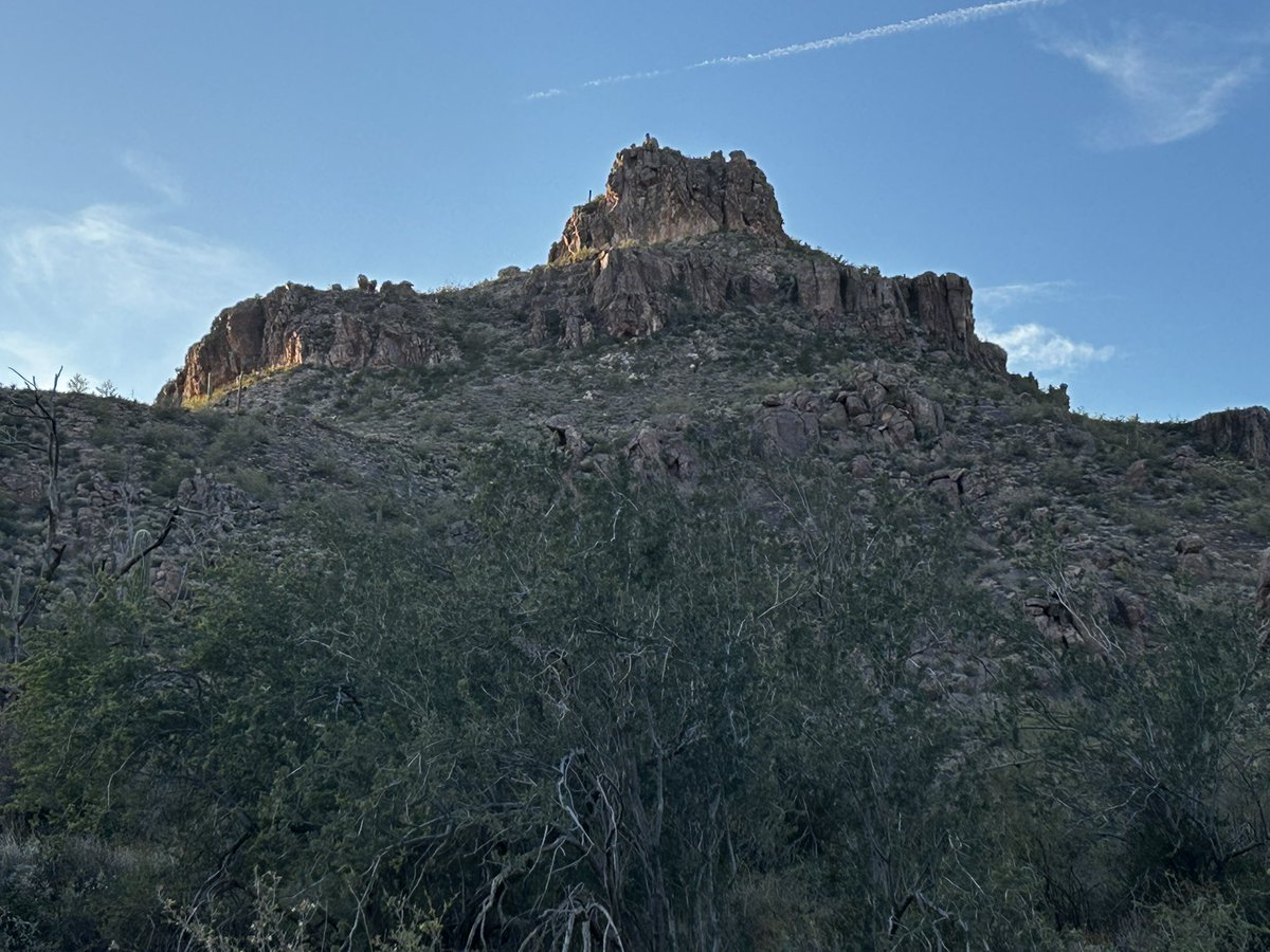 Miningfire tweet media