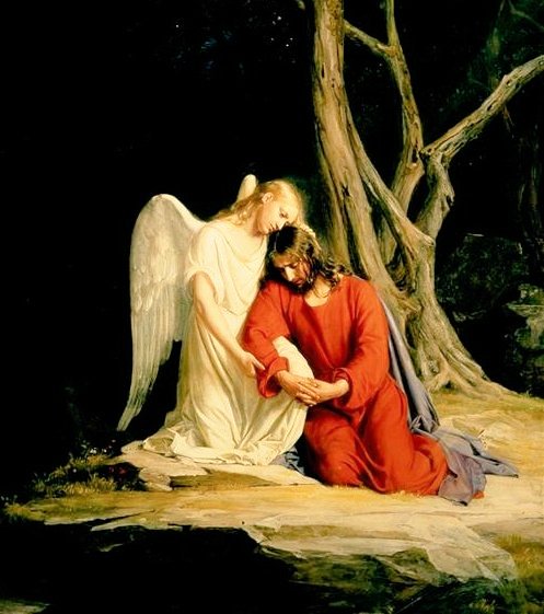 Cian McCarthy tweet media