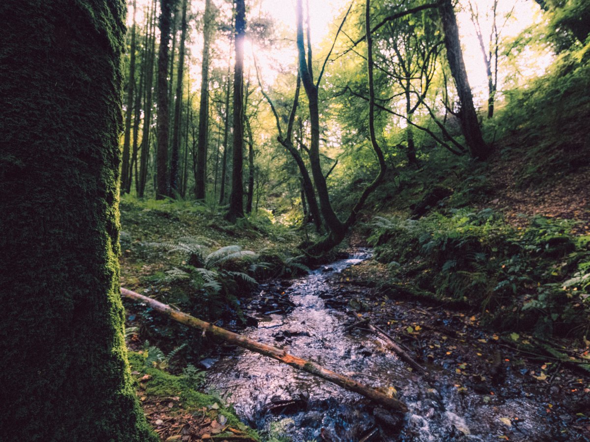 artofseanmurphy's tweet photo. A place of serenity https://t.co/hyvy4p3kSE