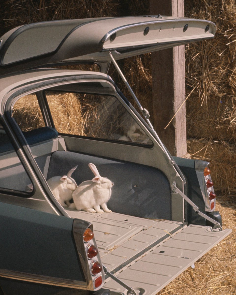 L’Aventure DS Automobiles tweet media