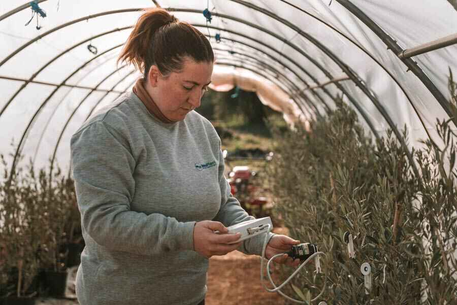 Andalucia_Rural's tweet photo. 📺🛰️Hoy,  @telediario_tve se ha hecho eco del proyecto @greenMOONp con motivo de la misión espacial Artemis II

🌖🌿@InnoPlant, apoyada con fondos #LEADER de @AlfanevadaGDR, forma parte de Green Moon Project para cultivar huertos en la Luna https://t.co/aqdZlj5tBR