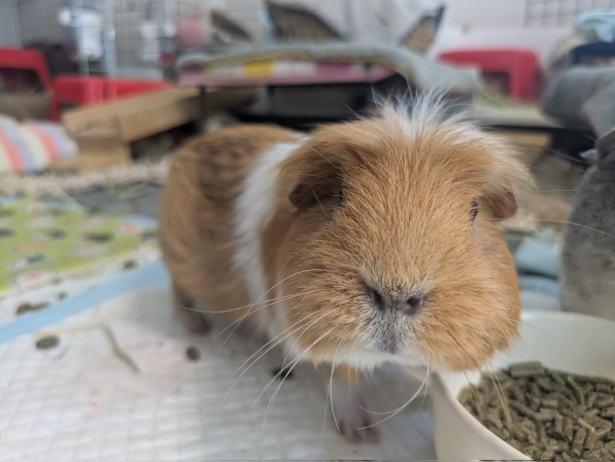 もる田 tweet media