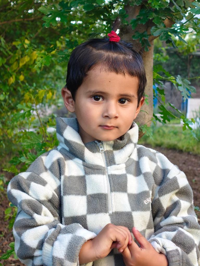 khushahal singh tweet media