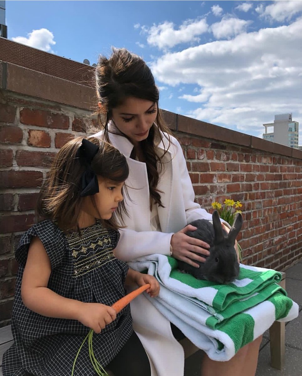 aminbehroozi_2 tweet media