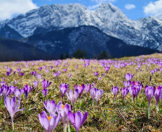 Federal Republic of Europe🇪🇺 tweet media