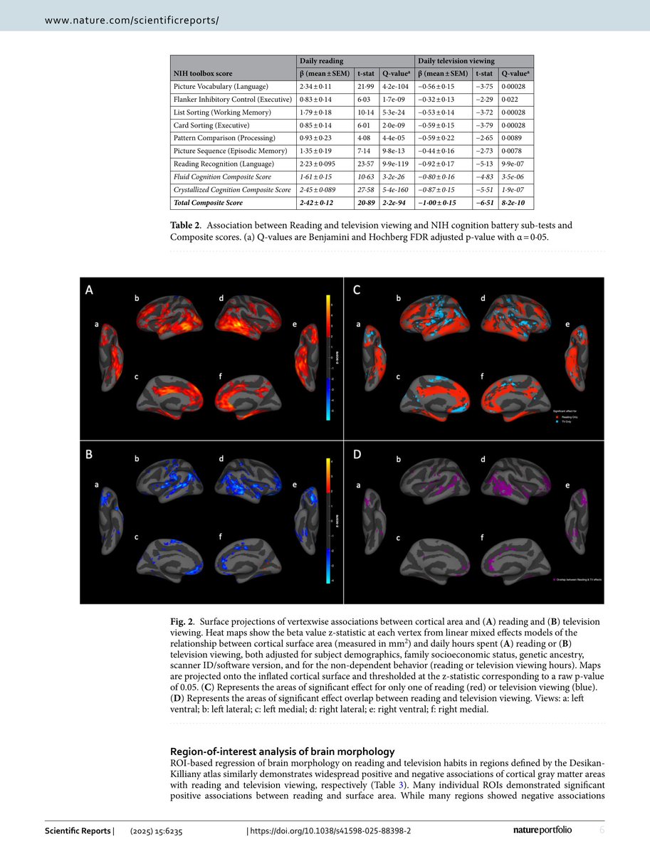 Curious Minds tweet media