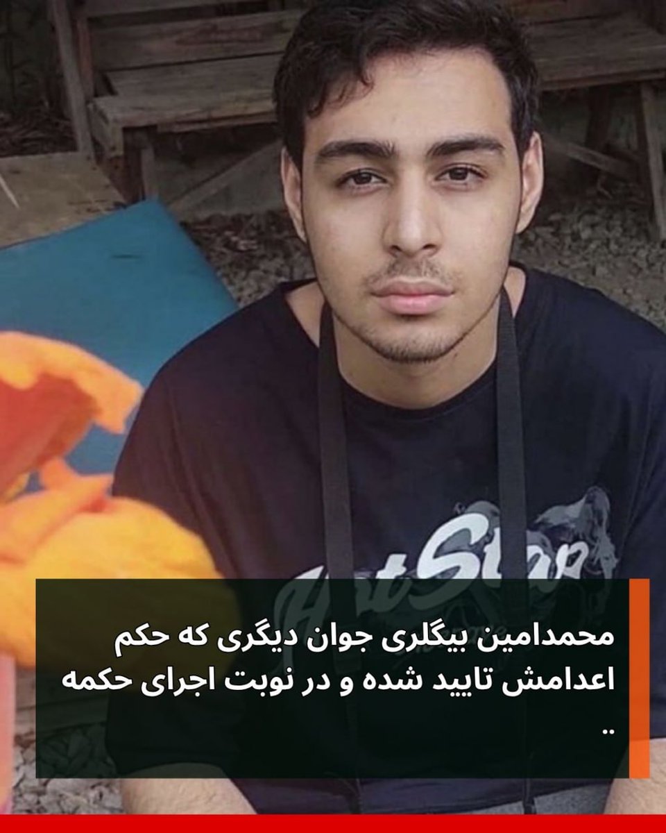 ava habibi tweet media