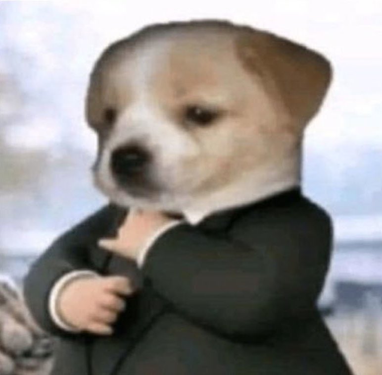 hülülişko tweet media