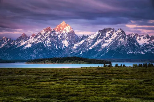 David Hamilton tweet media