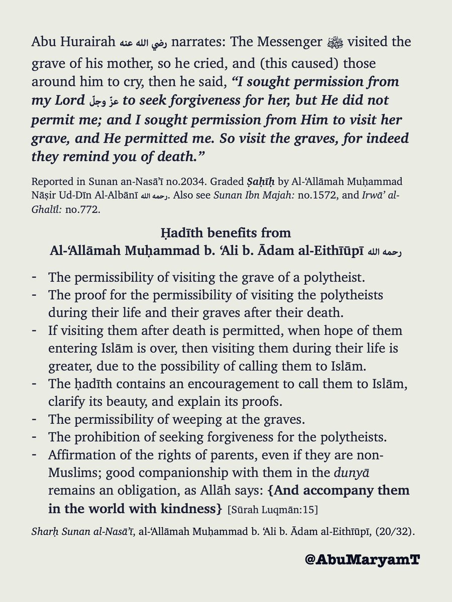 ᴀʙᴜ ᴍᴀʀyᴀᴍ tweet media