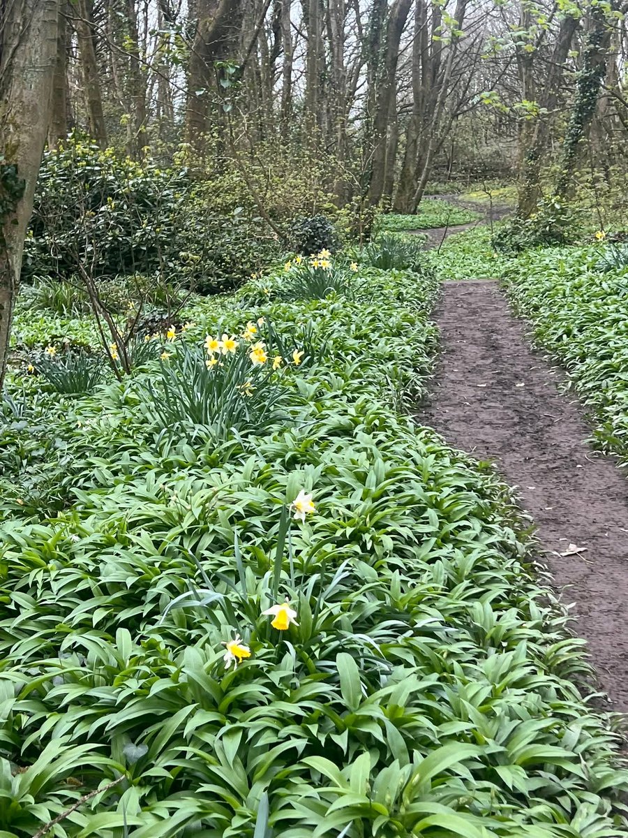 Ness Owen tweet media