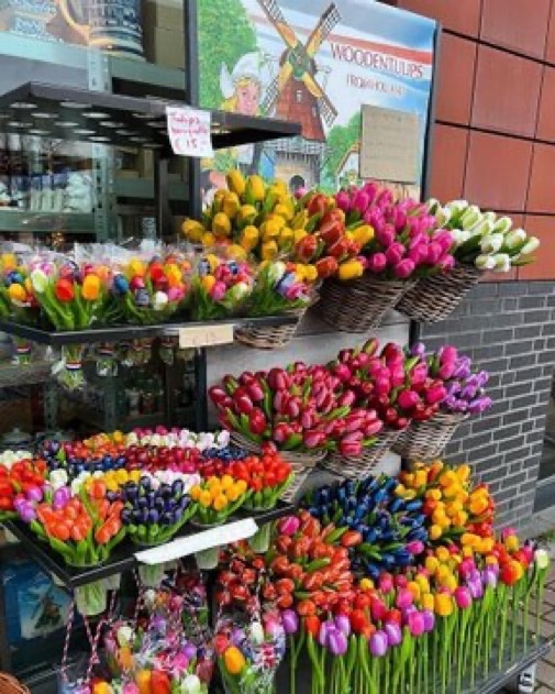 Only Tulips tweet media