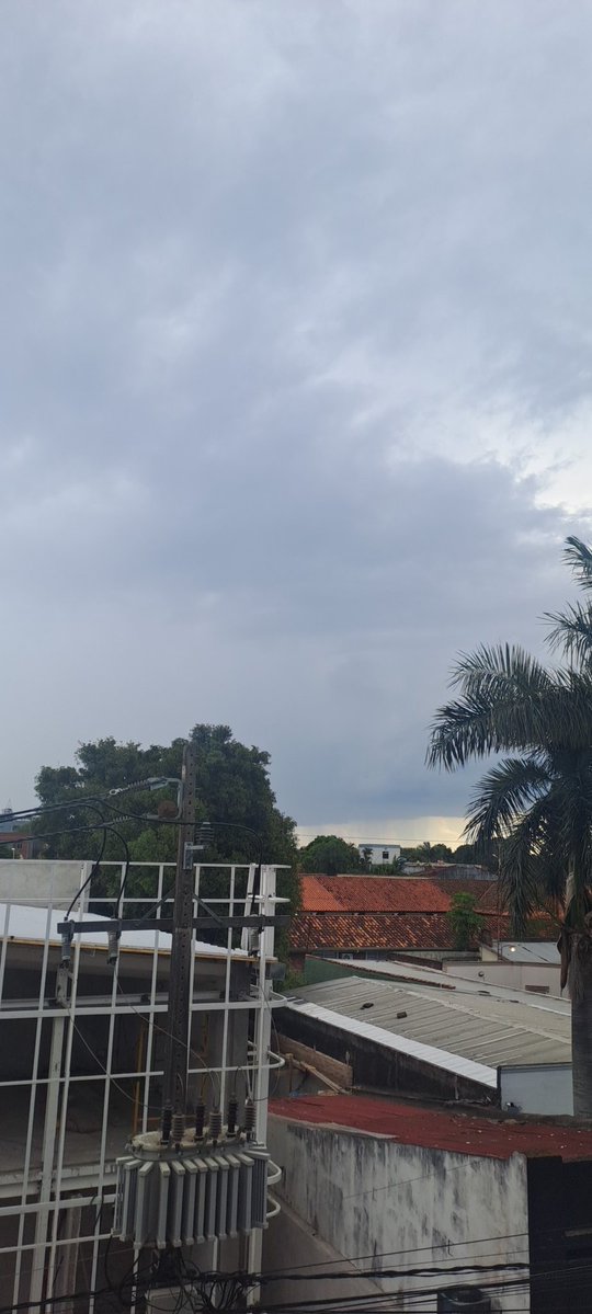 Andrés A. Covone tweet media