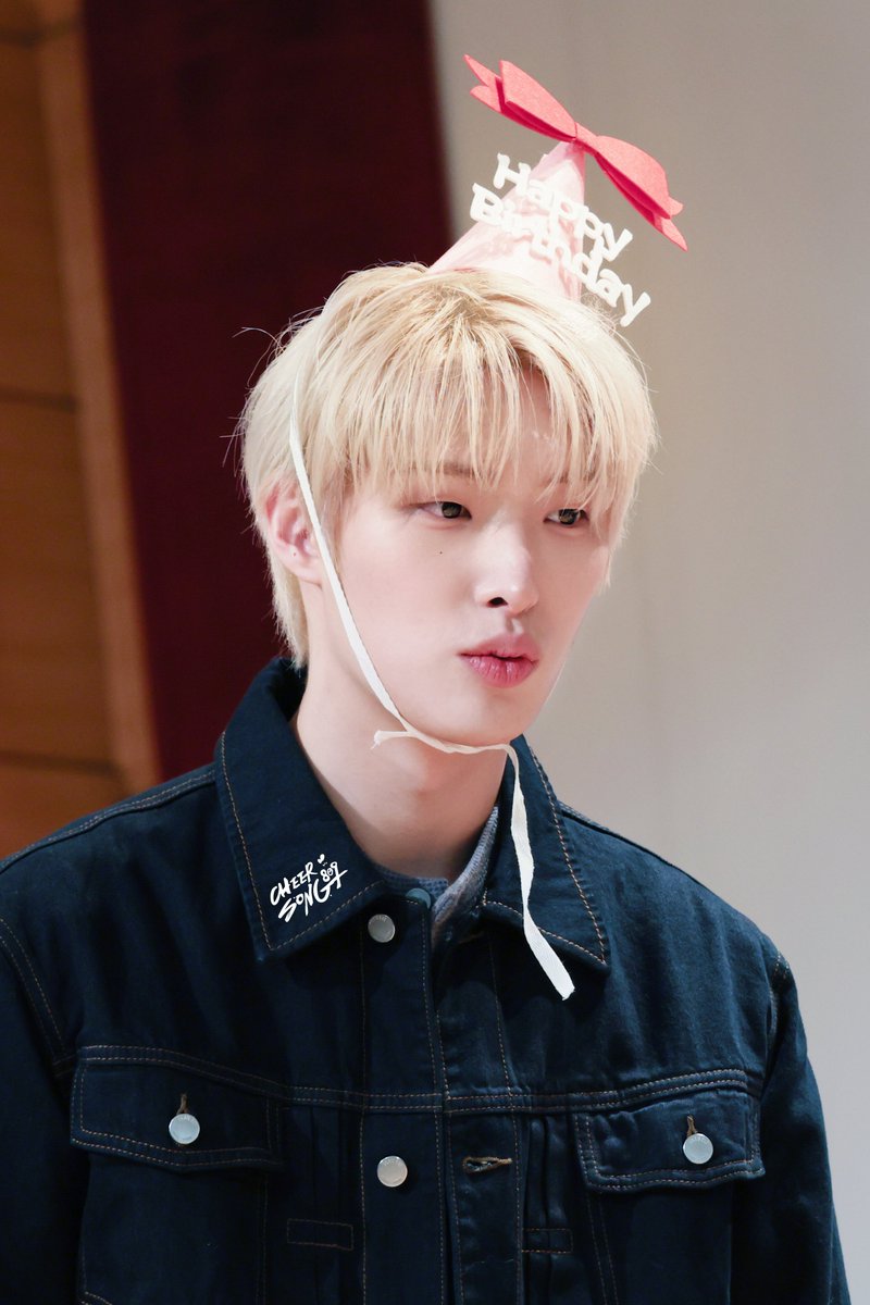 코코 tweet media