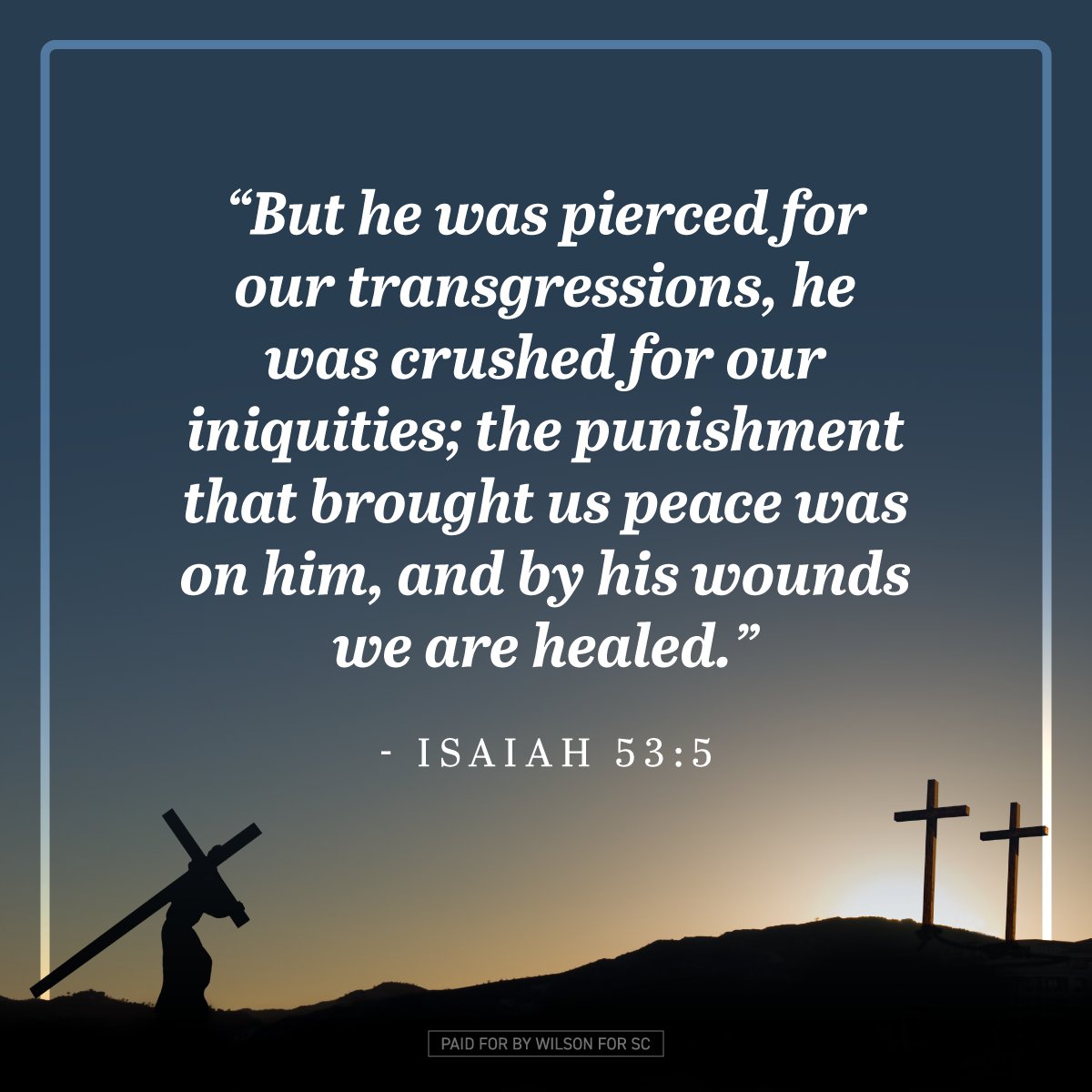 Alan Wilson tweet media