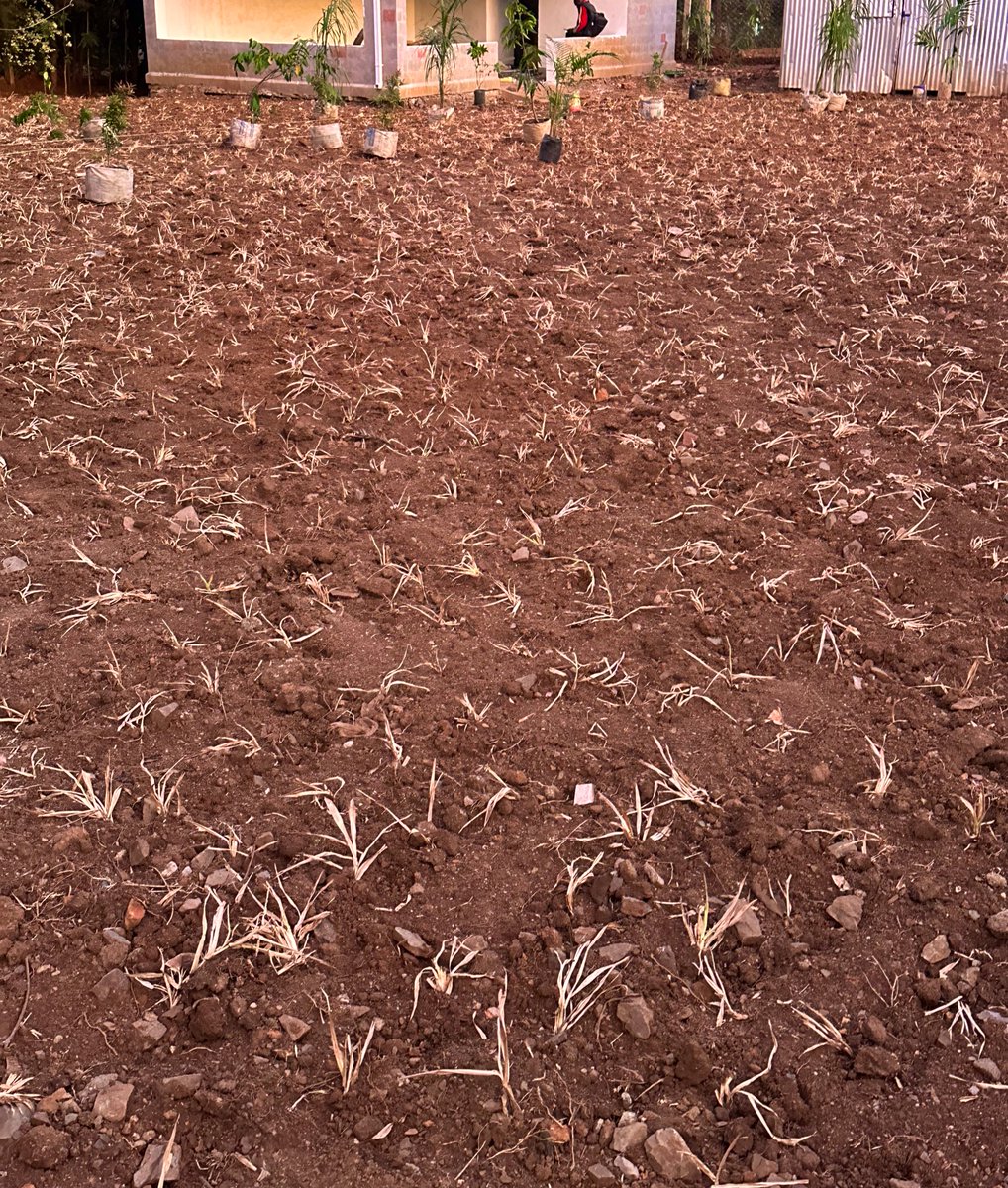 Botanique Designers tweet media