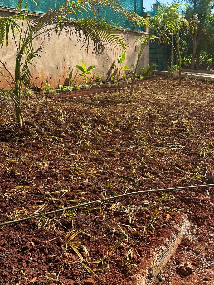 Botanique Designers tweet media