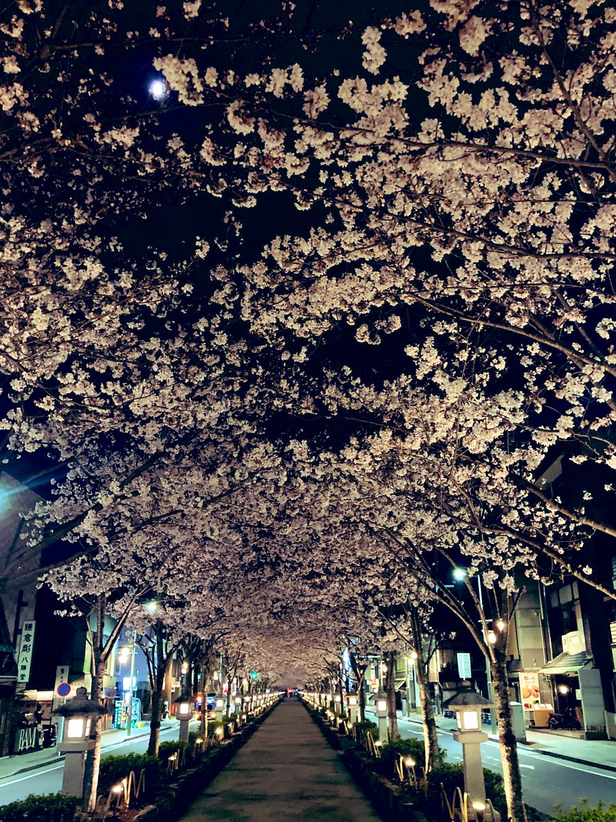 tsubuyakitai tweet media