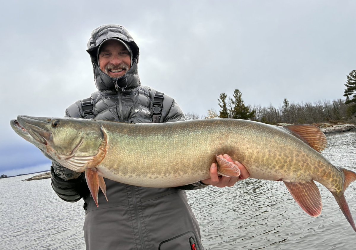 Pete Maina tweet media