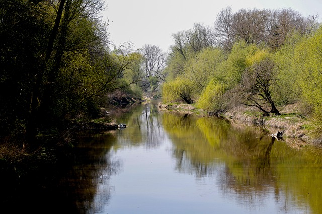 Brandon Destruction tweet media