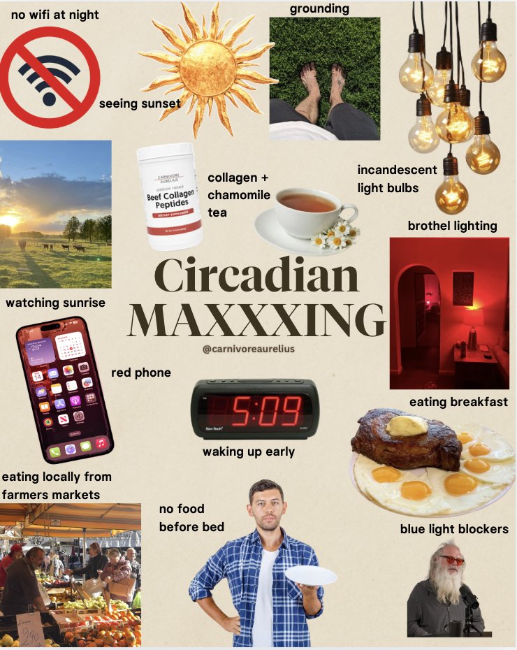 Carnivore Aurelius ©🥩 ☀️🦙 tweet media