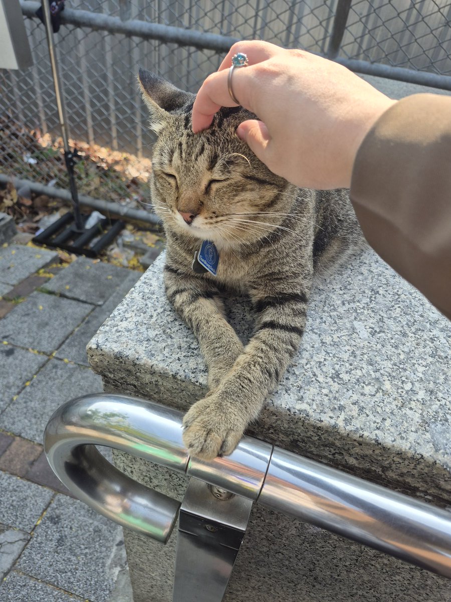 🌾เพนกวิ้นขายของที่ @.MakeyourdayGS💚 tweet media