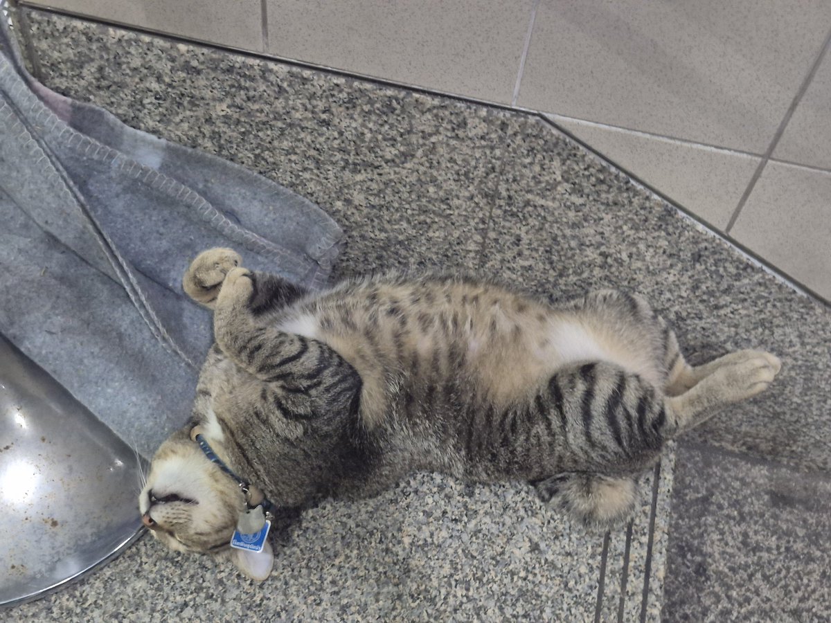 🌾เพนกวิ้นขายของที่ @.MakeyourdayGS💚 tweet media