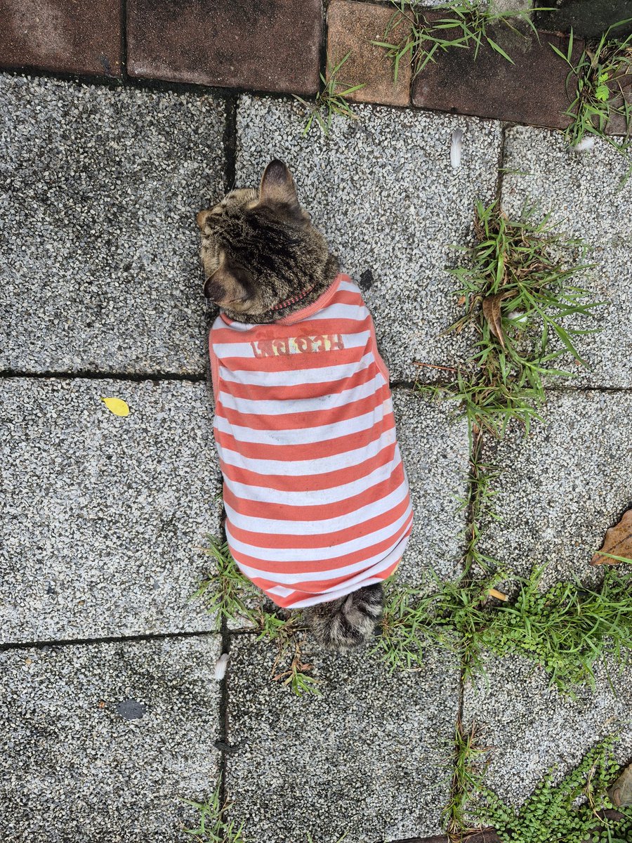 🌾เพนกวิ้นขายของที่ @.MakeyourdayGS💚 tweet media