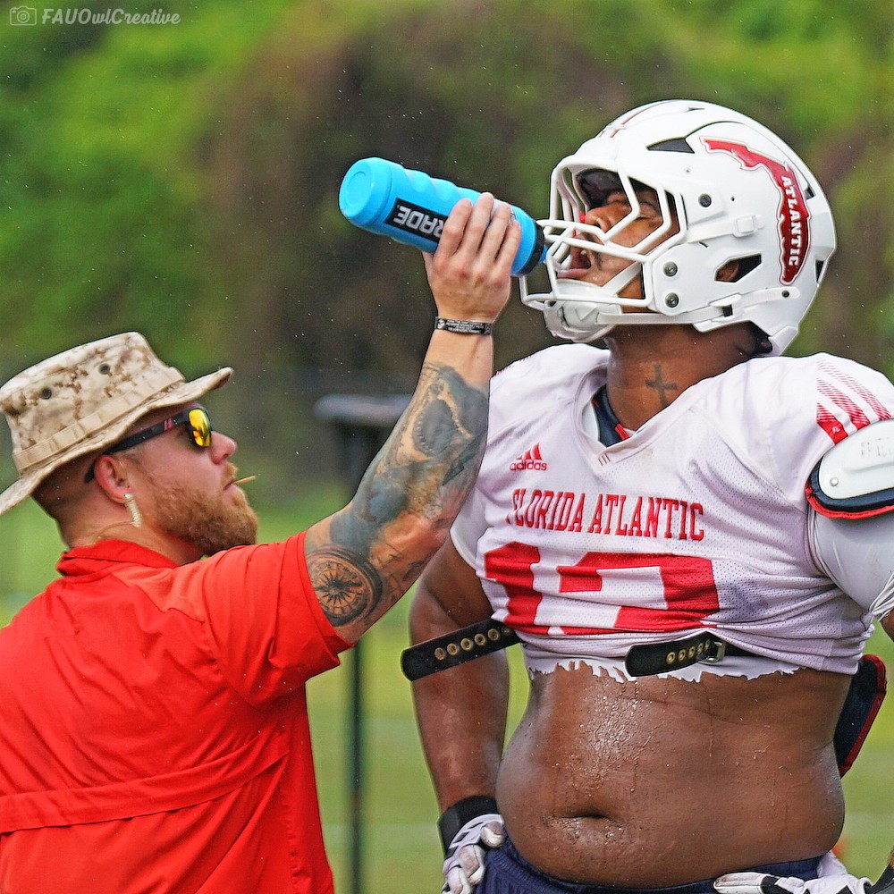 FAU Owls Nest tweet media