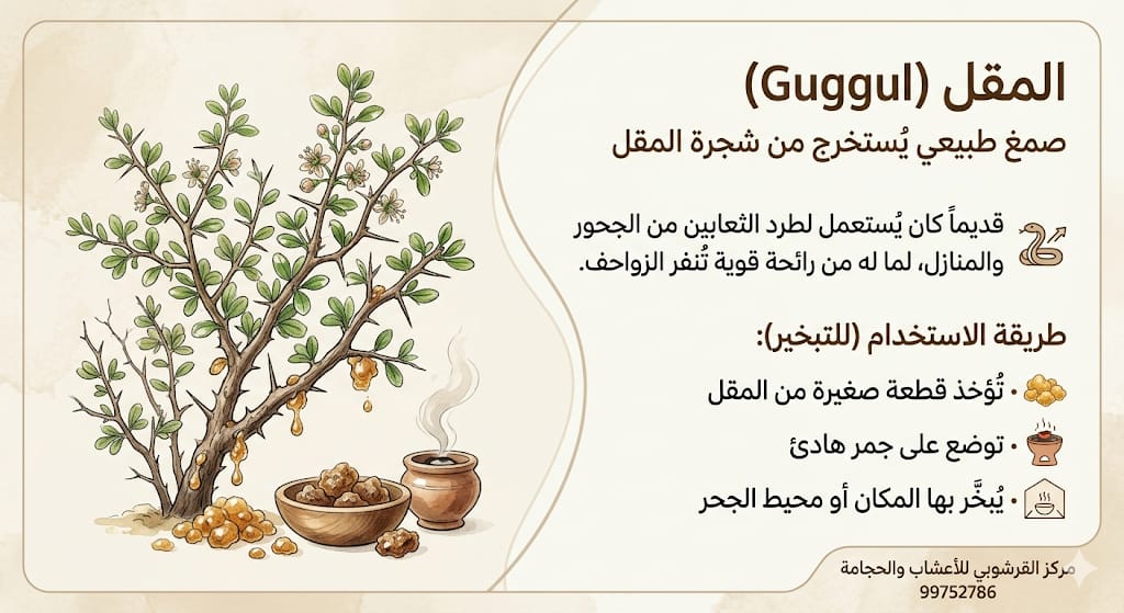 99752786Omani's tweet photo. #المقل صمغ طبيعي لطرد الثعابين https://t.co/DZ2HI0nFJH