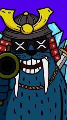 Zoltan Junitz tweet media