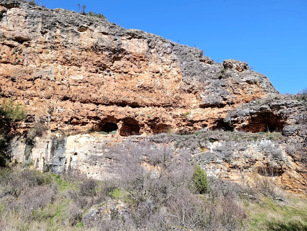 Isaac🌾 tweet media