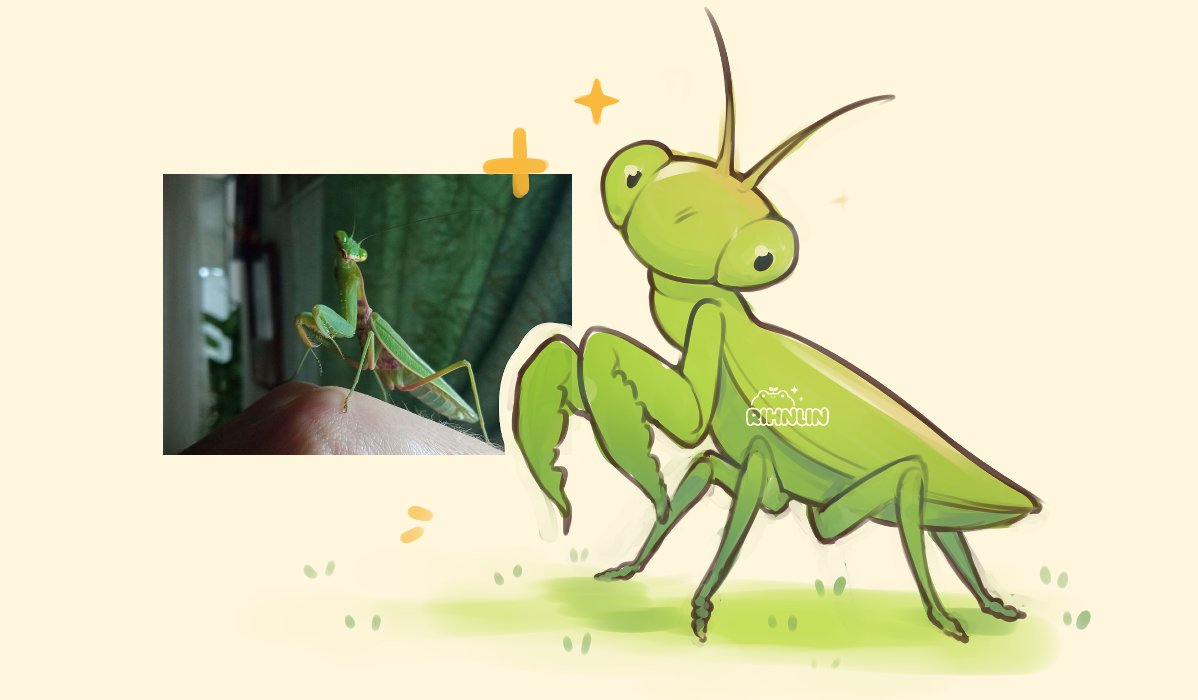 Rihnlin 🌱🪲🐸 tweet media