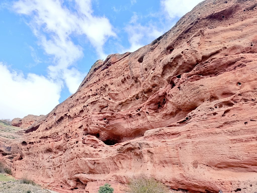 Isaac🌾 tweet media