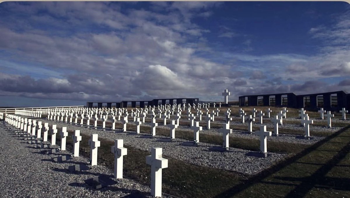 Omar De Felippe tweet media