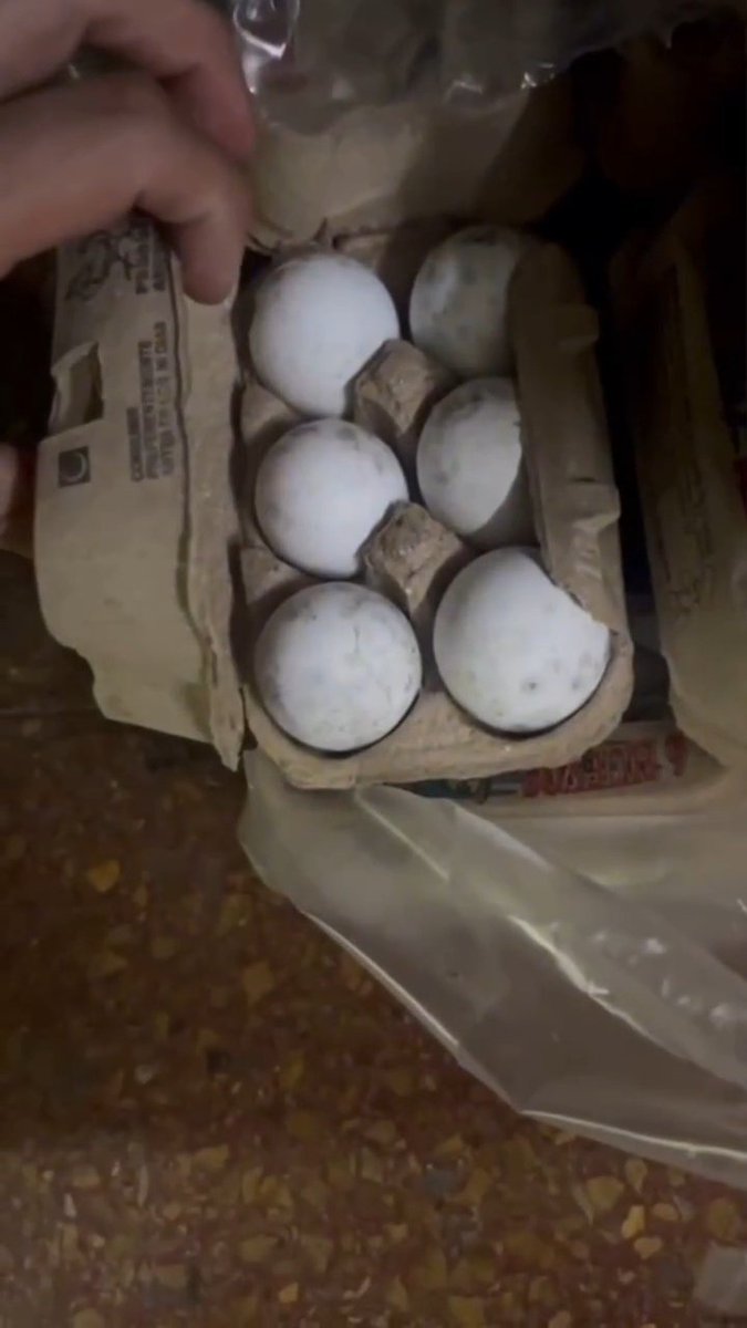 Kalina Ann tweet media