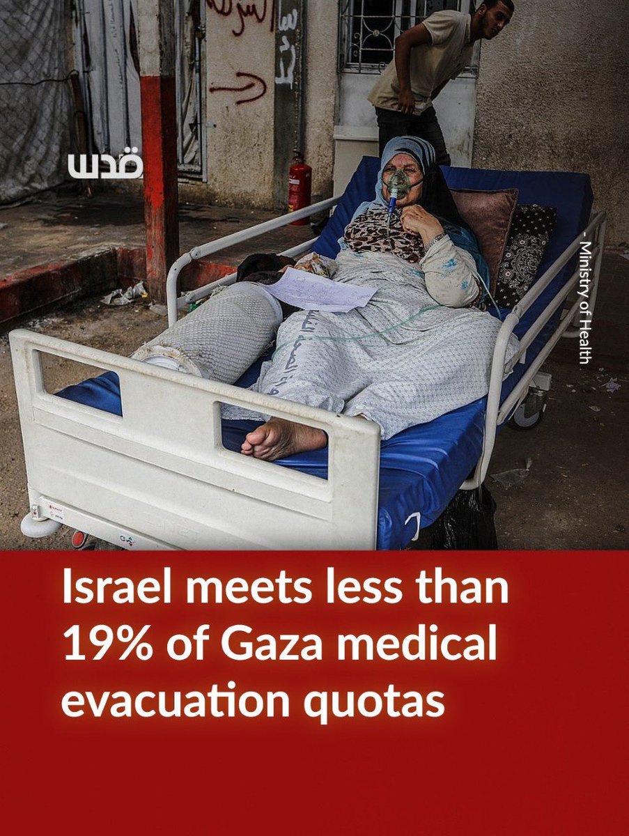 Quds News Network tweet media