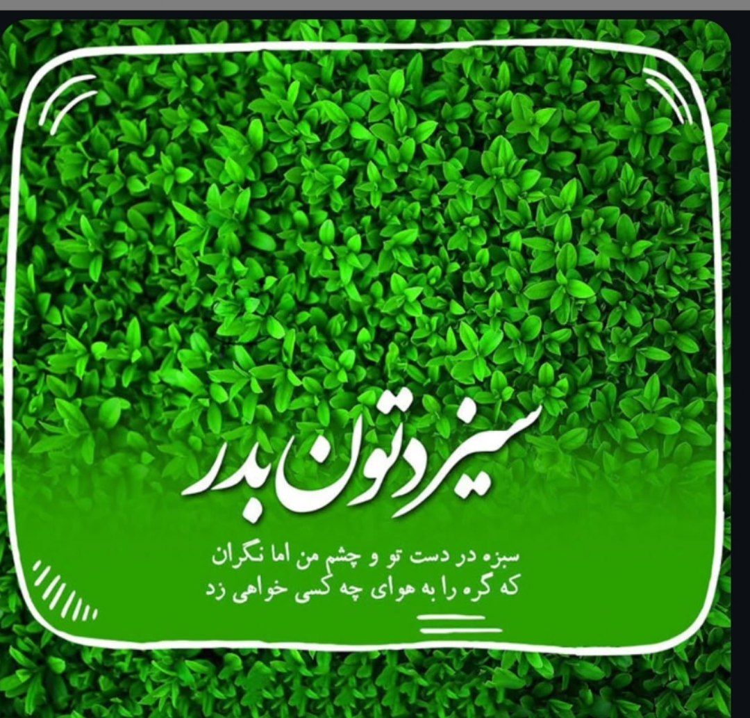 mohadash tweet media