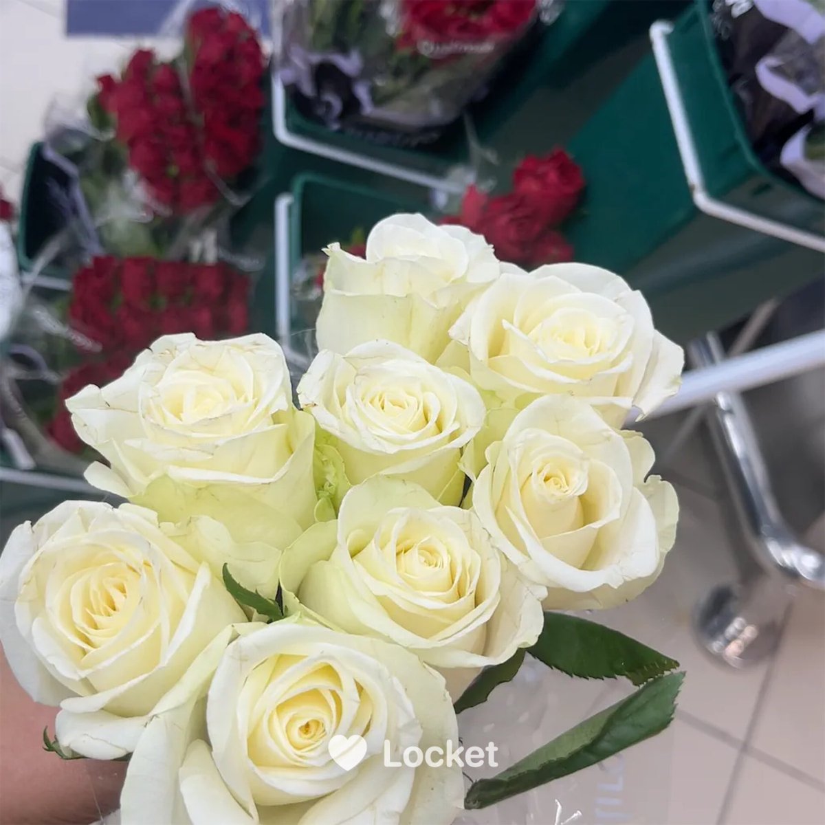 الورد للورد 🤍💚