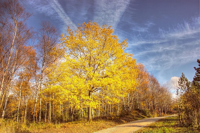 Mario Rajendran tweet media