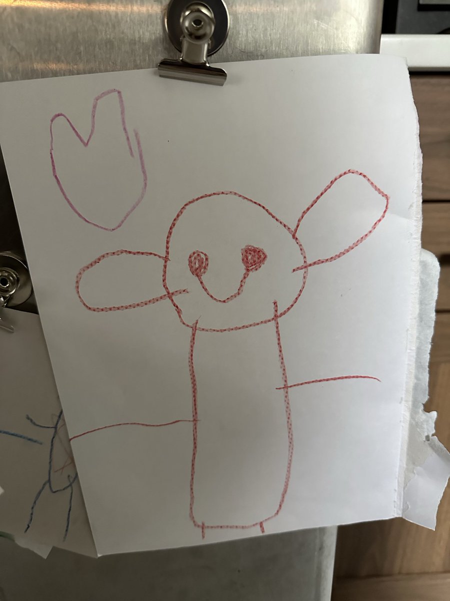 Lacey Groguran ✨ tweet media