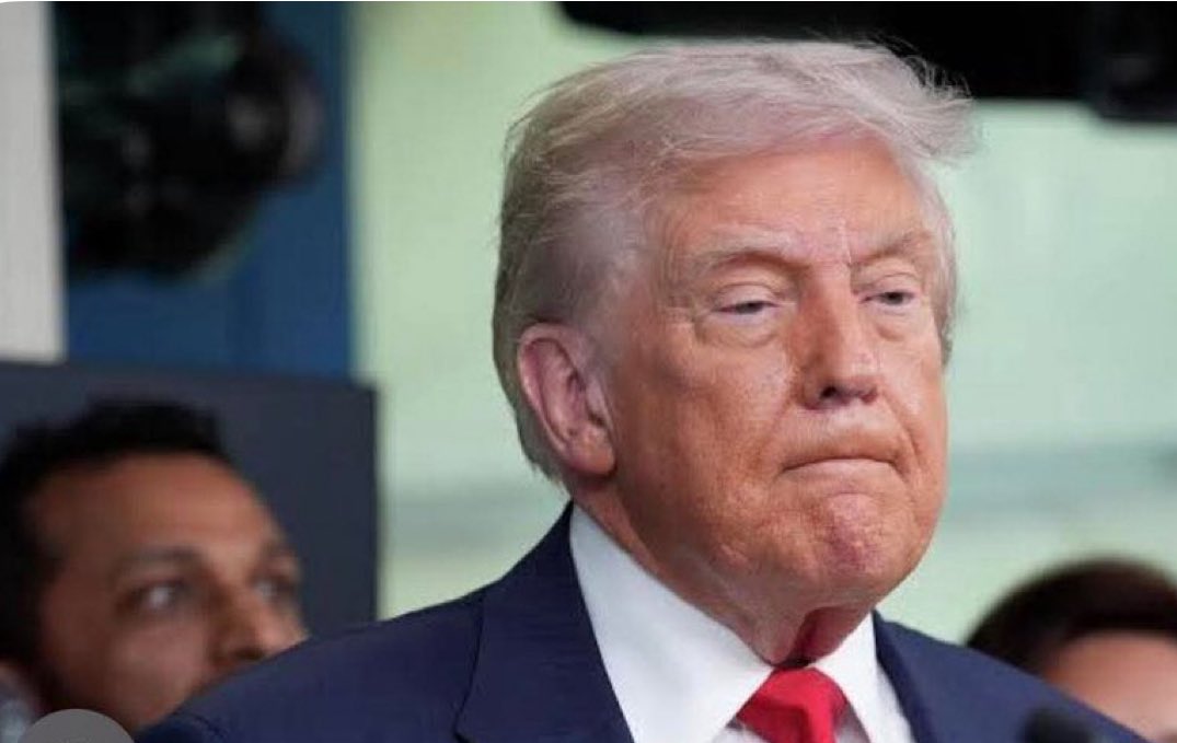 Anahita shokrollahi tweet media