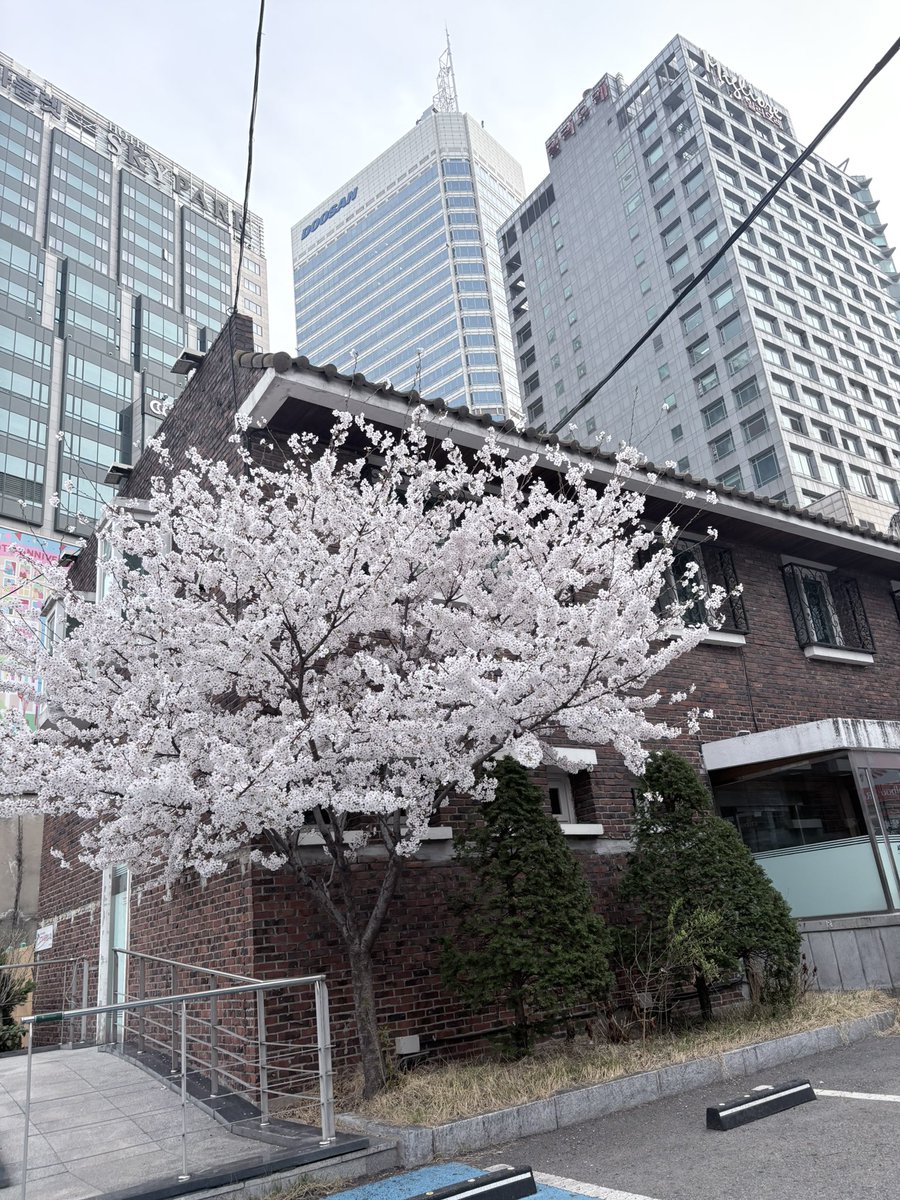 ⭐︎⭐︎에리⭐︎⭐︎ tweet media