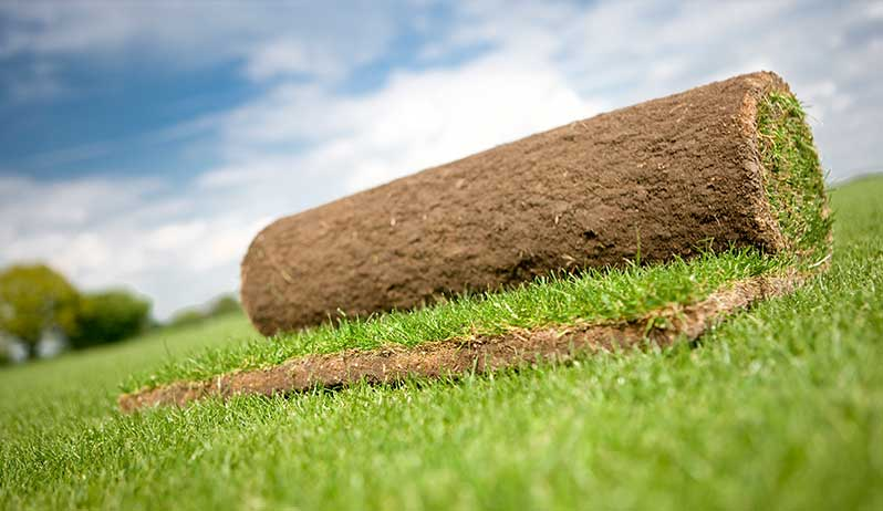 TurfPro Weekly Briefing tweet media