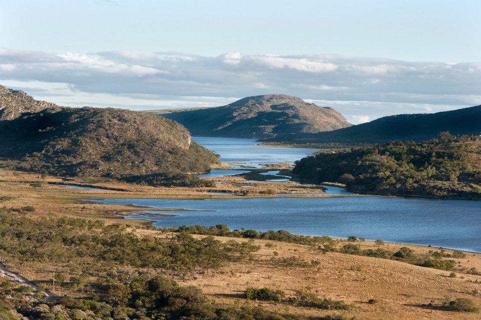 Acervo Brasil 🇧🇷 tweet media