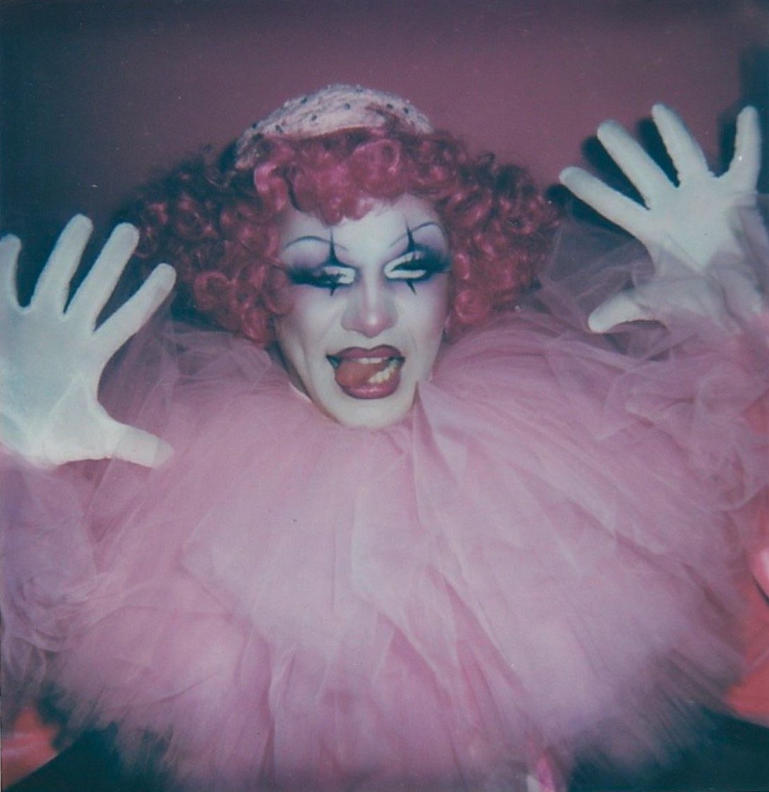 holly !! 🦚 tweet media