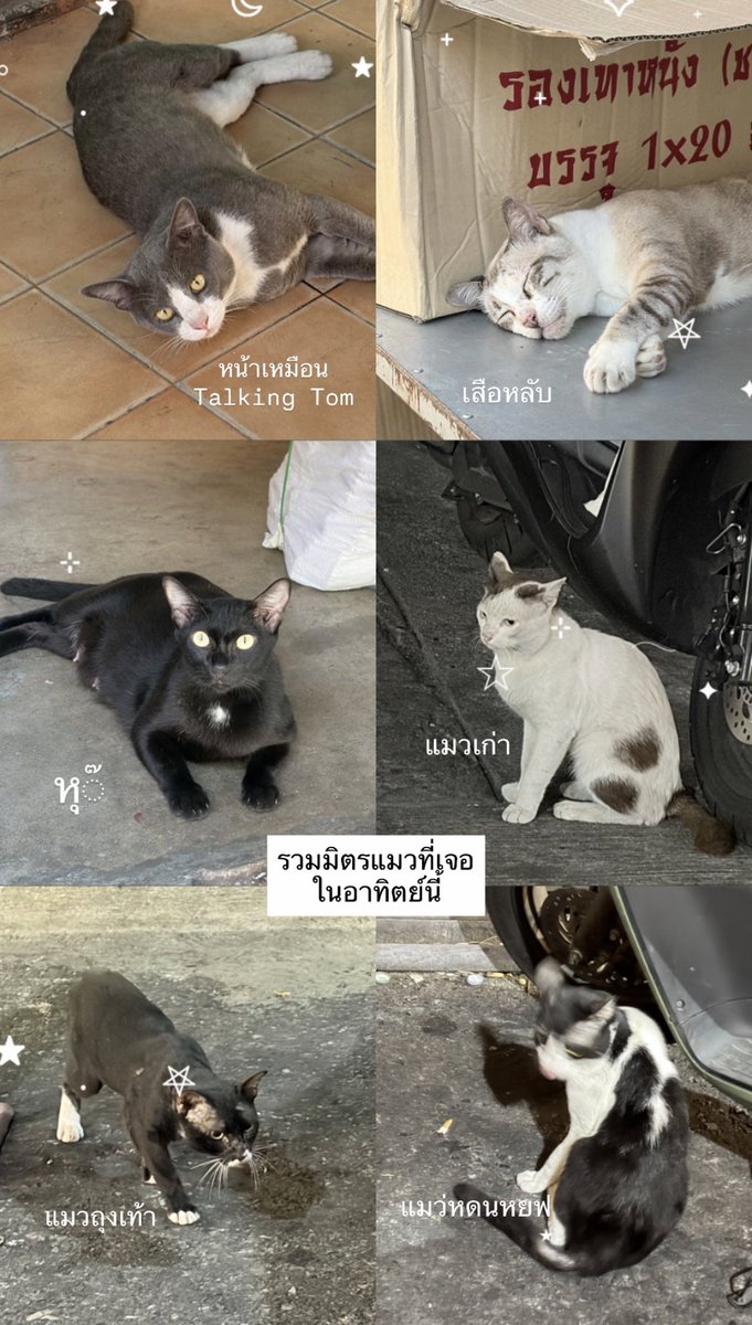 Pixels Mirai Mirai 「ピクセル」 tweet media