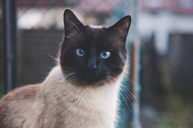 Edgar Ziegler tweet media