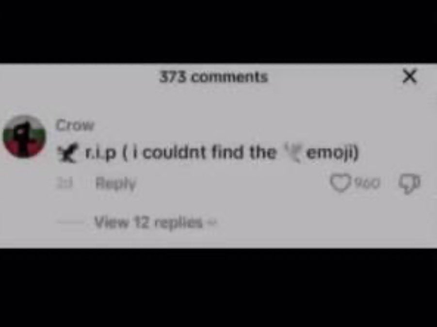 ليدي tweet media